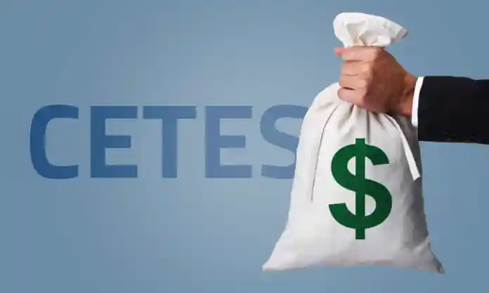 Imagen representativa de inversión en Cetes o finanzas personales