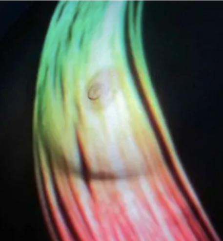 Exposición de arte contemporáneo